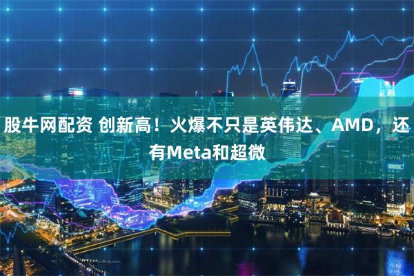 股牛网配资 创新高！火爆不只是英伟达、AMD，还有Meta和超微